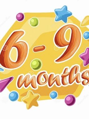 6-9 Months Miles  girls clothing over 100 outfits